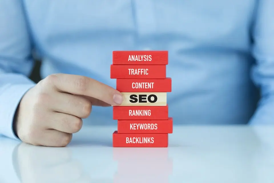 Consultor SEO em Roraima